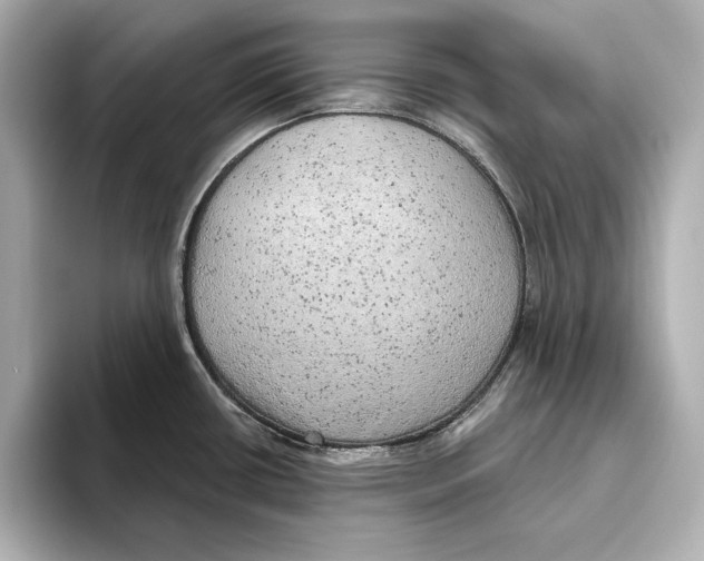 X0000095681434200802051242