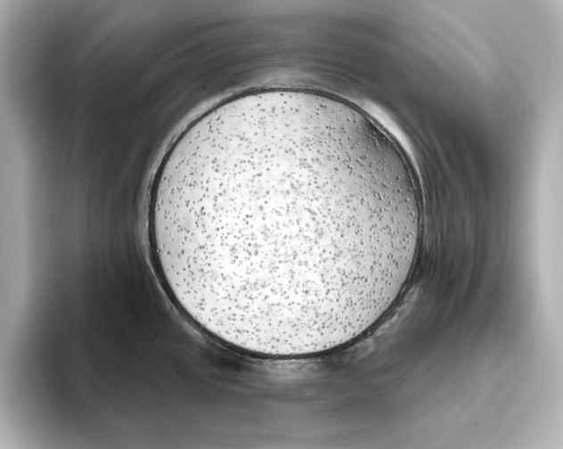 X0000095681437200802051242