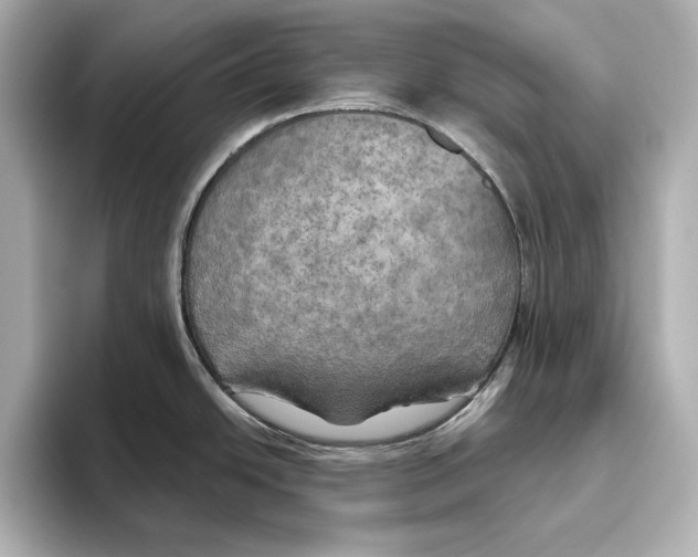 X0000095681438200802051242