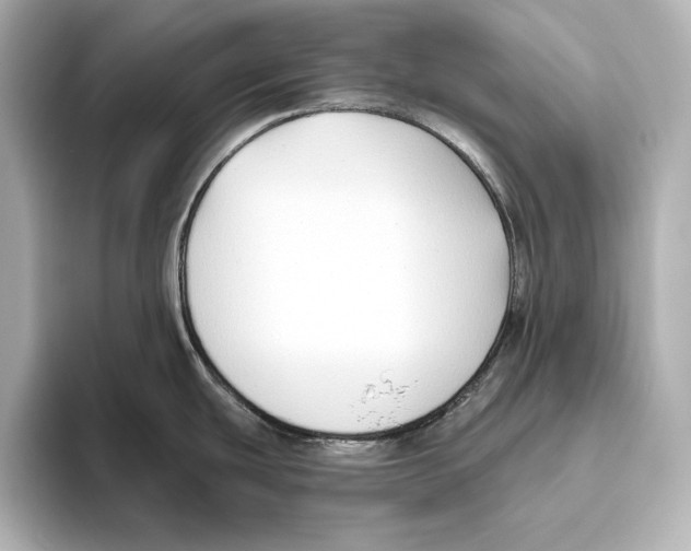 X0000095681439200802051242