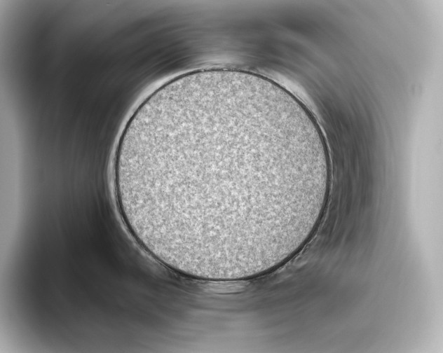 X0000095681440200802051242