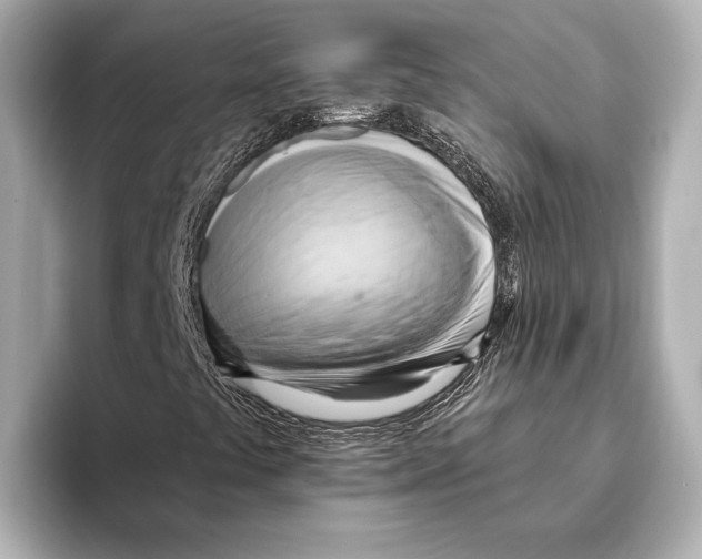 X0000095681441200802051241