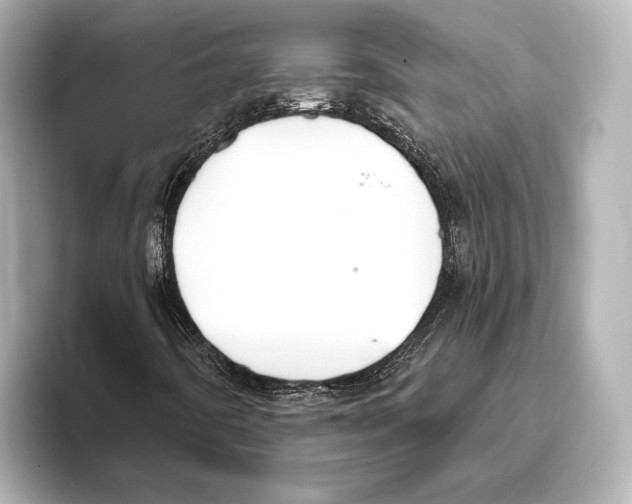 X0000095681442200802051241