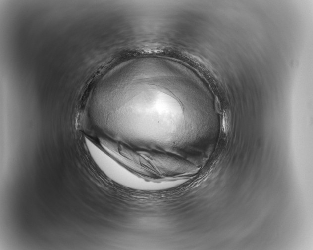 X0000095681444200802051241