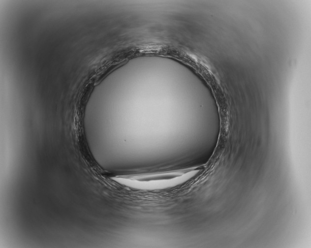 X0000095681445200802051241