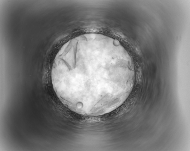 X0000095681446200802051241