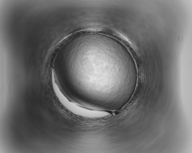 X0000095681448200802051241