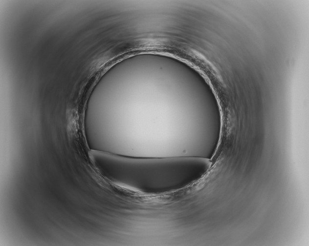 X0000095681449200802051241