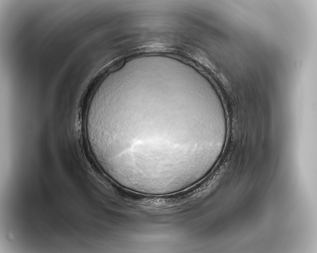 X0000095681450200802051241