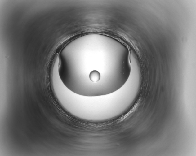 X0000095681453200802051241