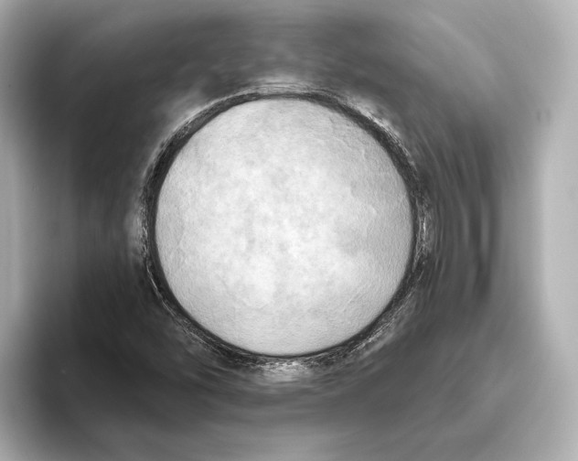 X0000095681454200802051241