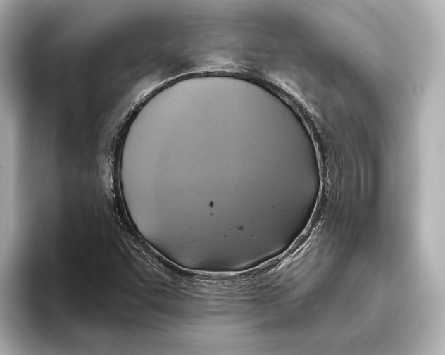 X0000095681455200802051241