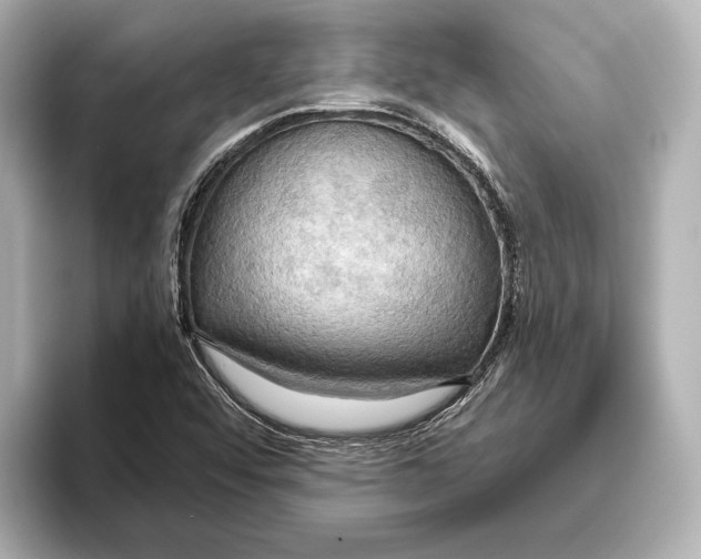 X0000095681456200802051241