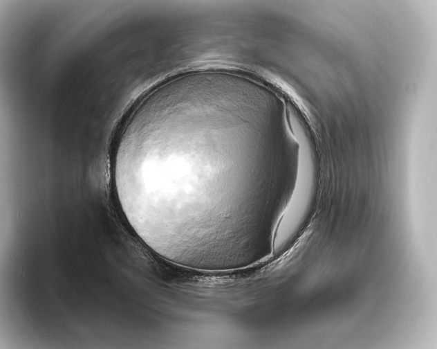 X0000095681461200802051241