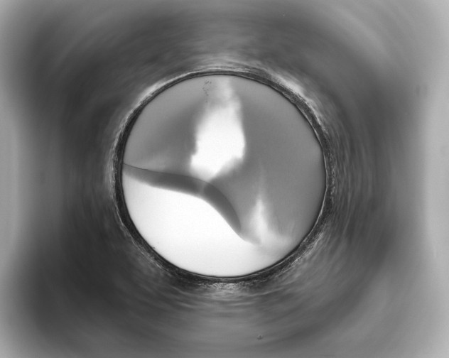 X0000095681463200802051241