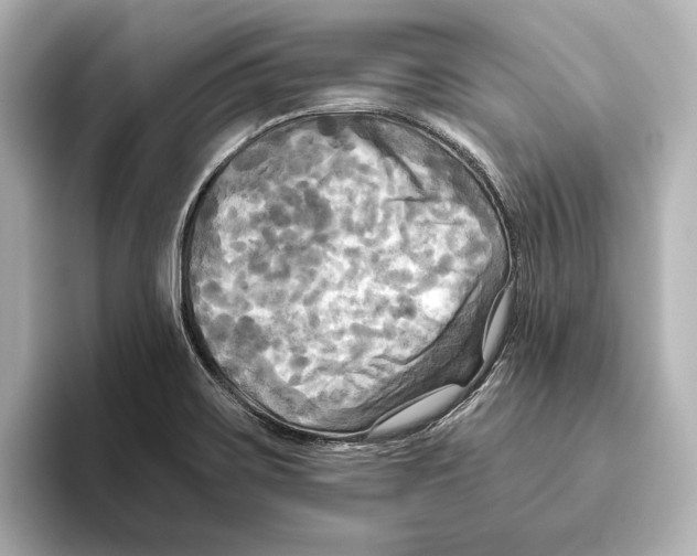 X0000095681467200802051241