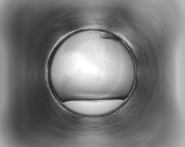 X0000095681468200802051241