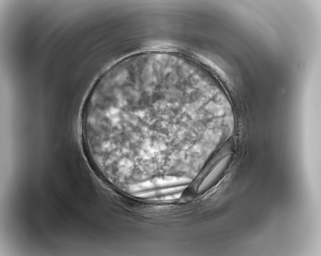 X0000095681471200802051241