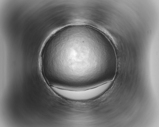 X0000095681472200802051241