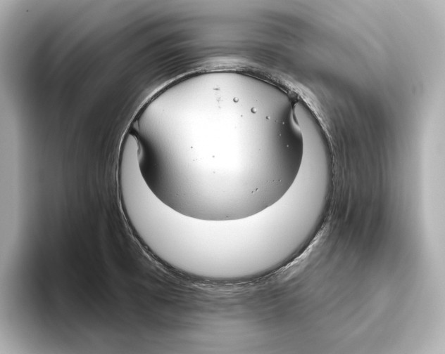 X0000095681473200802051241