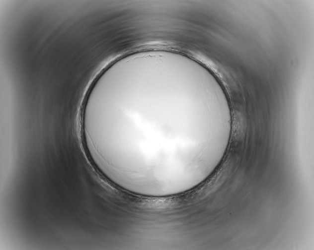 X0000095681474200802051241