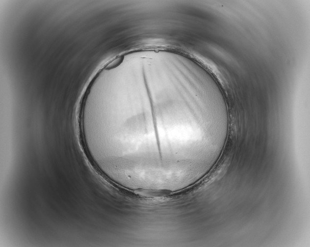 X0000095681475200802051241