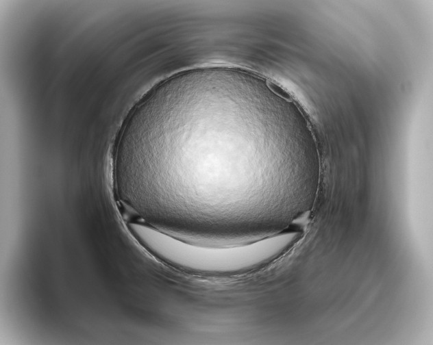 X0000095681476200802051241