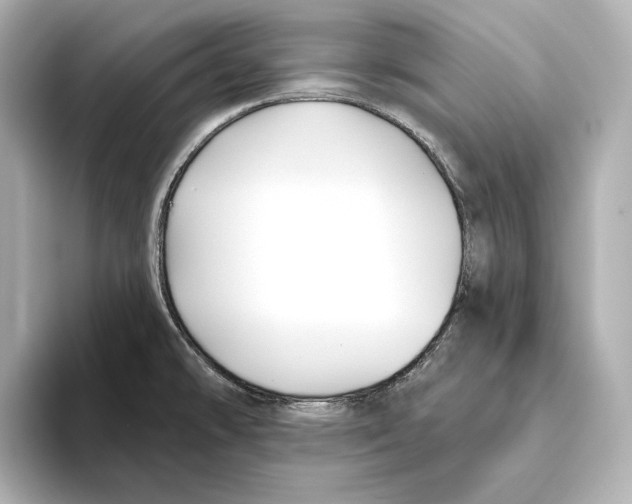 X0000095681478200802051241