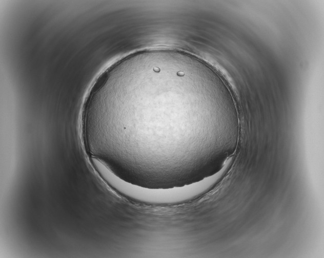 X0000095681480200802051241