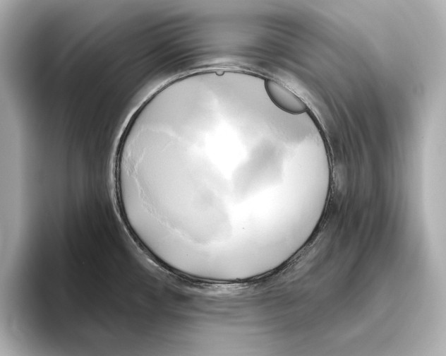 X0000095681482200802051241