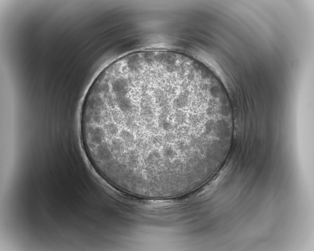 X0000095681483200802051241