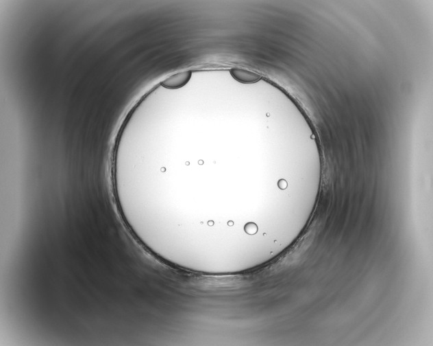 X0000095681486200802051241