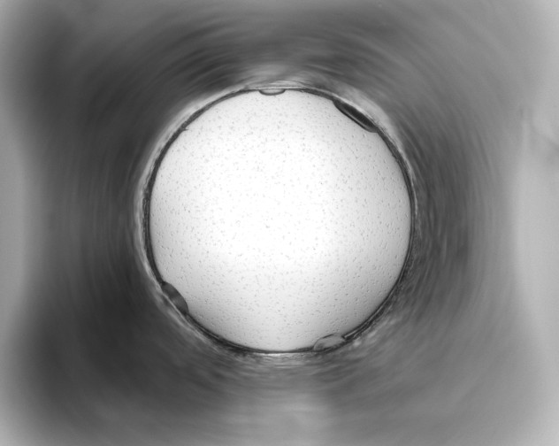 X0000095681488200802051241