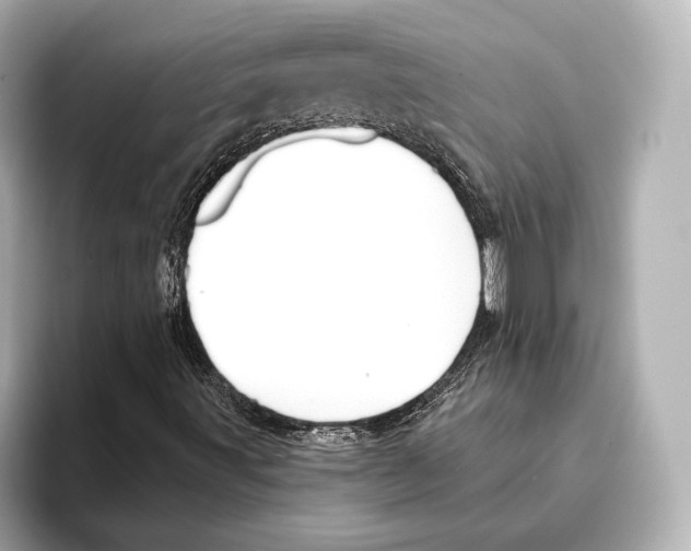 X0000095681491200802051240