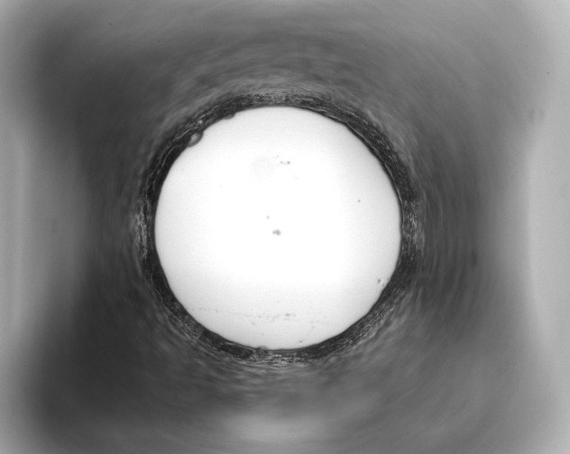 X0000095681493200802051240