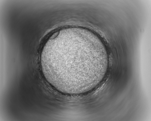 X0000095681494200802051240