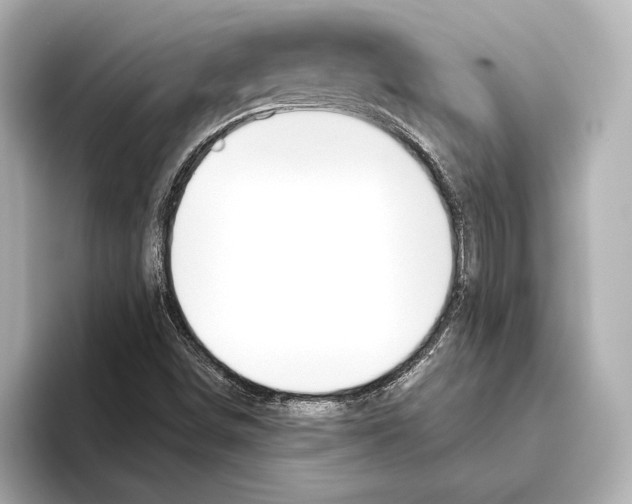 X0000095681498200802051240