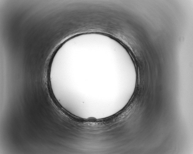 X0000095681500200802051240