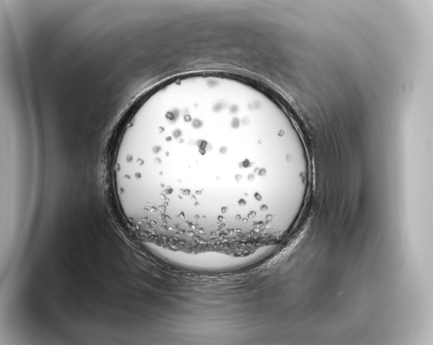 X0000095681501200802051240