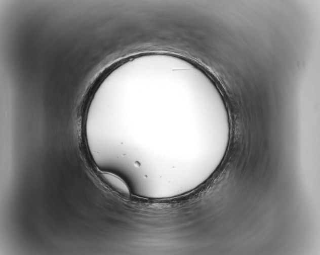 X0000095681503200802051240