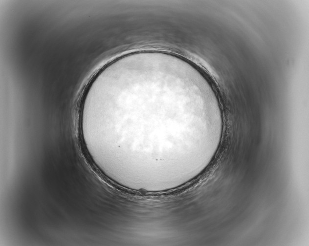 X0000095681504200802051240