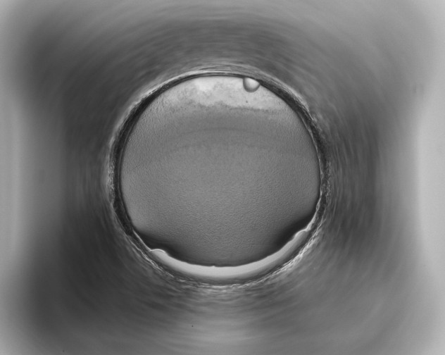 X0000095681506200802051240