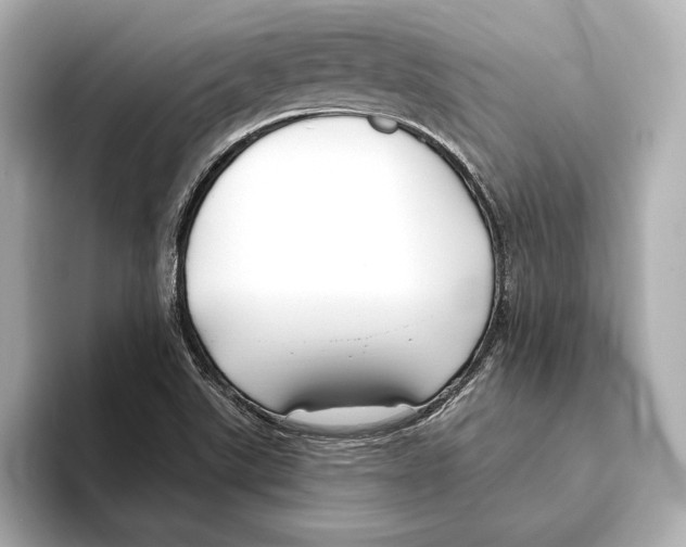 X0000095681507200802051240