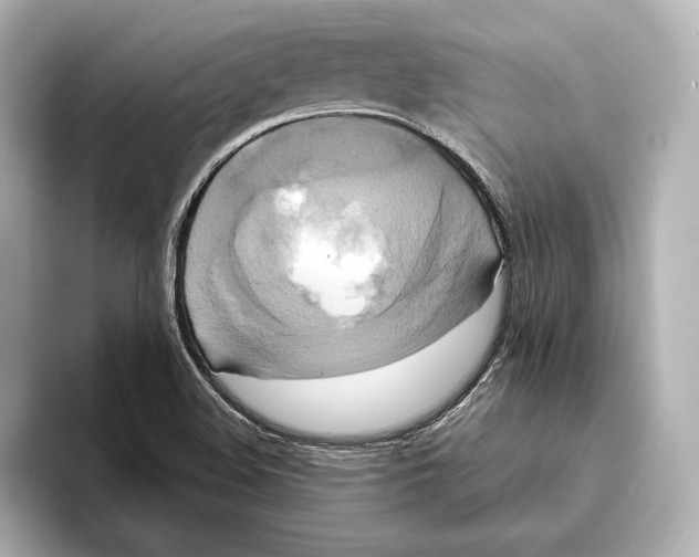 X0000095681508200802051240