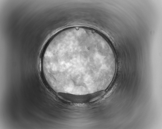 X0000095681509200802051240