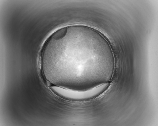 X0000095681510200802051240