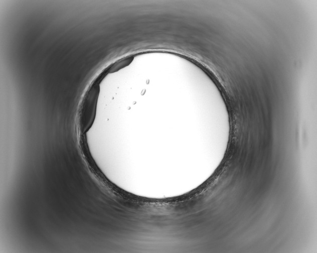 X0000095681511200802051240