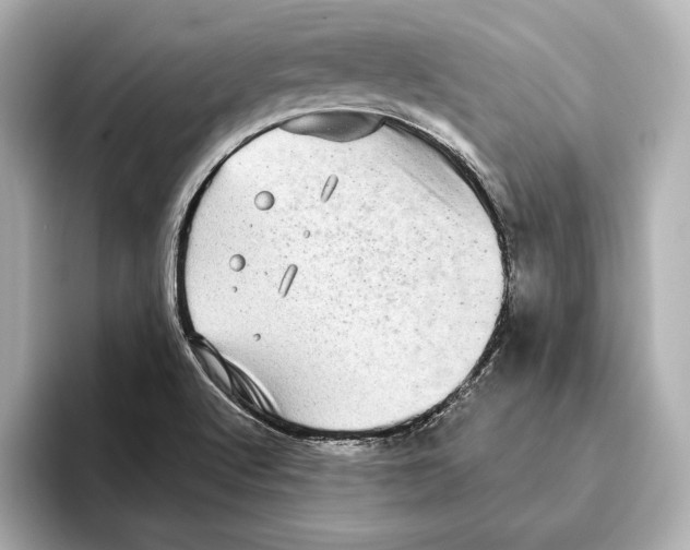 X0000095681512200802051240