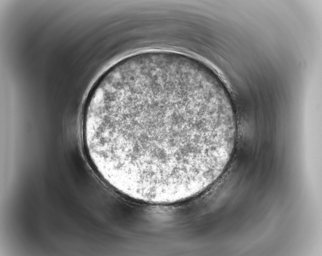 X0000095681514200802051240