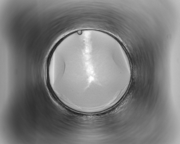 X0000095681515200802051240